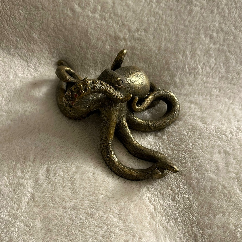 💗Decorative octopus from living spaces💗